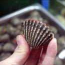 우리고깃집 이미지