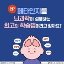 [카드뉴스] 뇌과학이 설명하는 최고의 학습법 ＜메타인지＞를 아시나요? 이미지