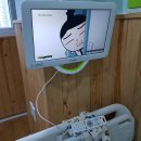 율하리틀병원 이미지