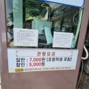 충남 태안 가볼 만한 곳 죽도의 상화원 여기가 지상낙원 꼭 가보세요!