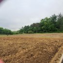 골드문공인중개사사무소 이미지