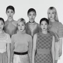 백꽃사랑하이빛 이미지