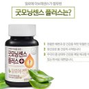 굿모닝센스