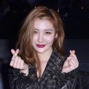 선미디자인 이미지