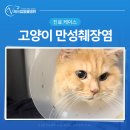 체크업동물병원 이미지