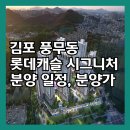 매탄2동 199-8~매탄2동 199-75 | 풍무역 롯데캐슬 청약자격·세대수 한눈에 보기