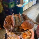 삼바리 - 전주시 덕진구 | 삼바리