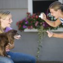 신천동물병원 이미지