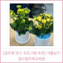 전북특별자치도 인재개발원(집단급식소) | ㅣ조직활성화교육ㅣ감정회복ㅣ식물테라피ㅣ프로그램후기ㅣ꿈드림미래교육원ㅣ원예힐링센터ㅣ전북ㅣ전남...