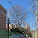 태현초등 이미지