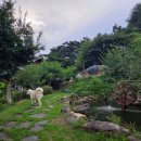 섬진강 파노라마펜션 이미지