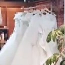 뽀또스튜디오