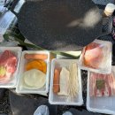 선샤인 | 넘 좋았던 청도 / 캠크닉 헬로선샤인 후기🍊