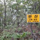 참벗 - 금산군 다복동길 58-3 | 참벗