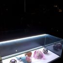 호텔 디 아티스트 성신여대점 이미지