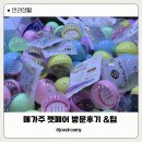 (주)놀람 | 메가주 펫페어 첫 방문후기 이벤트 참여 &amp; 쇼핑 팁!