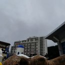 썬오락실 | 휘닉스 파크 블루캐니언 워터파크 ,상상놀이터, 오락실 이용후기