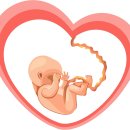 칠헌축산 | 22주미만 태아 동물보다 못한 존재, 낙태죄 헌법불합치