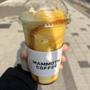 MAMMOTH커피 뭐라고 불러? 이미지