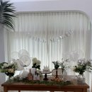 스테이목아 이미지