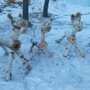 자작나무 조형물 이미지