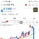 라니 미장