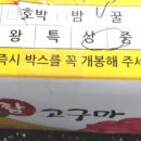 갯바람청과