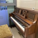 늘봄 음악학원 이미지