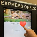 아우라관광호텔 | 라스베가스 플라밍고 호텔 수영장 스피어 뷰 짐보관 하이롤러뷰 (5만원대 가성비 호텔)