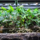 아쿠아스타 이미지