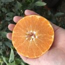 하림농장 이미지