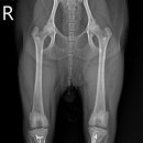 쥬만지동물의료센터 이미지
