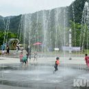 생태영상센터 이미지