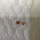 분당 아마존 동물병원 이미지