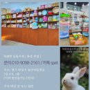 화성애완동물용품