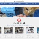 사단법인 한국동물구조관리협회 이미지