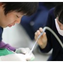 옥스치과기공소 이미지