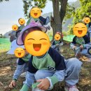 미래숲유치원 | 아이들이 건강하고 바르게 성장하도록 지원해주는 든든한 춘천사립유치원, 춘천 미래숲유치원