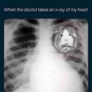 어서오시개 이미지