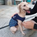 농협 앞 횡단보도 이미지