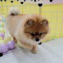 영도유치원 이미지