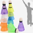 배드민턴 이미지