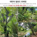 베프앤산과자연 이미지