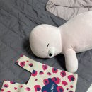 (주)와우씨앤씨 | 직업상담사 수료증을 취득하다.