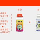 대곡면-11 이미지