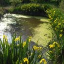 아빠의 정원 이미지