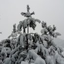 세기산업 이미지