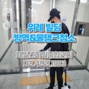 스마일청소방역 이미지