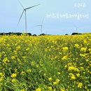 하룻 강아지 | 2026 파타고니아 제주국제트레일러닝_10k 완주 후기