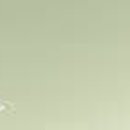 의정부굿365정형외과의원 이미지